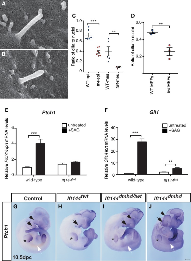 Figure 2.