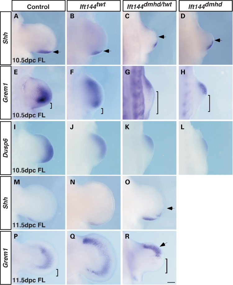 Figure 7.