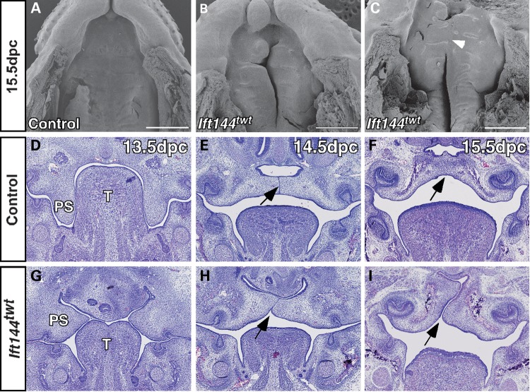 Figure 4.