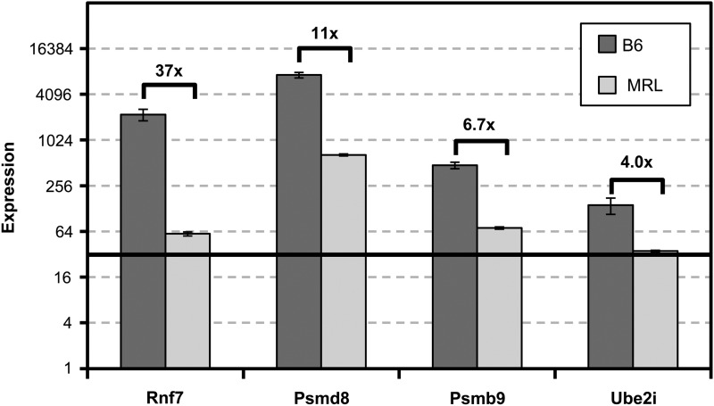 Figure. 3.