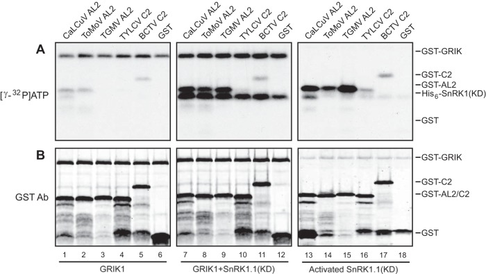 FIG 3