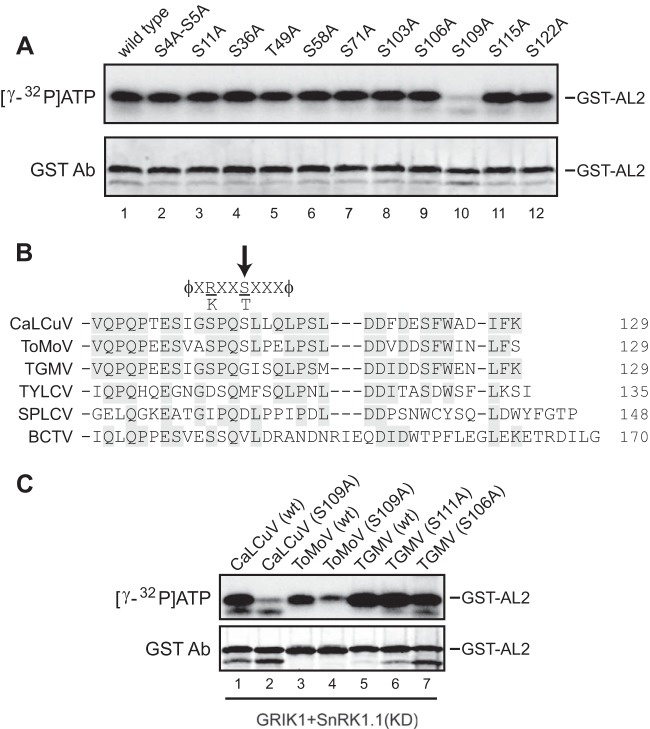 FIG 4