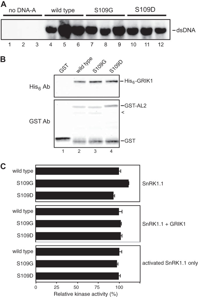 FIG 6