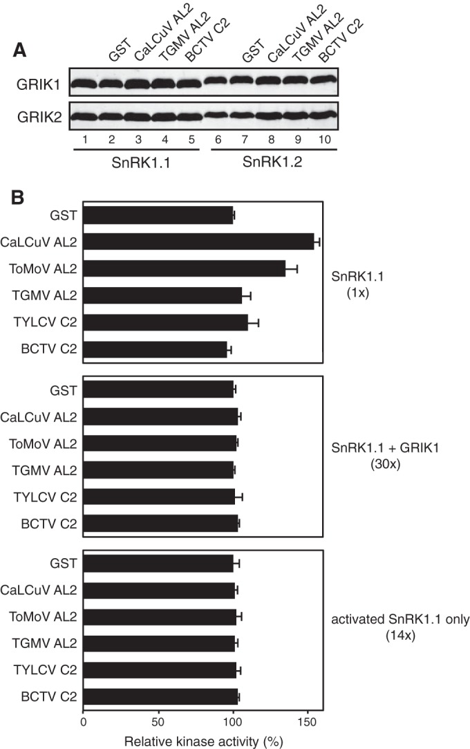 FIG 2