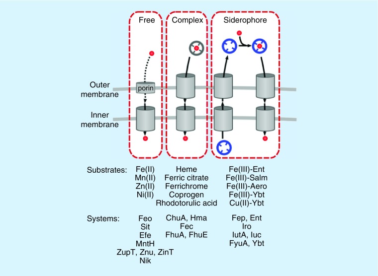 Figure 1. 