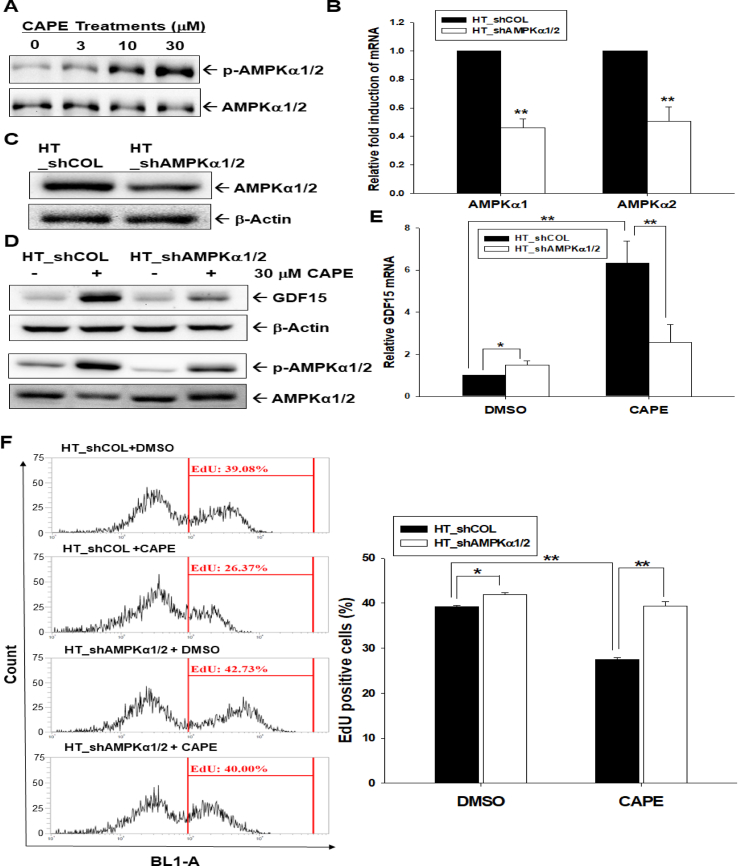 Fig. 6