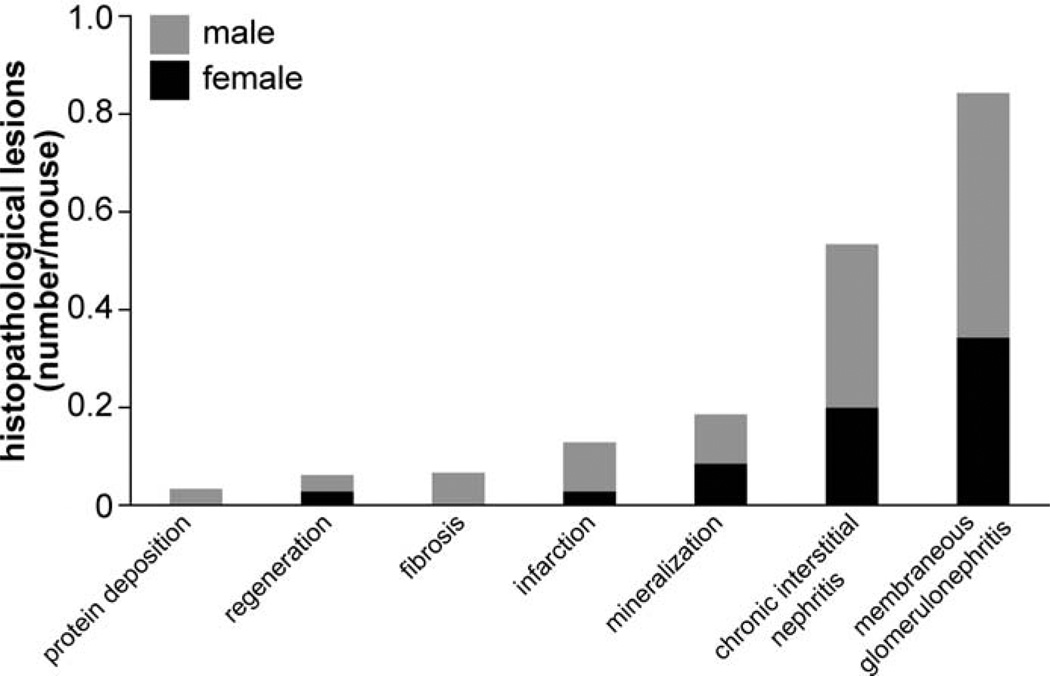 Figure 17