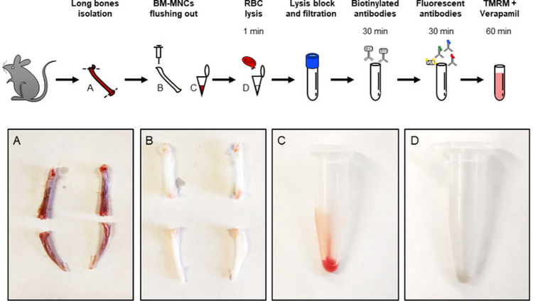 Figure 1: