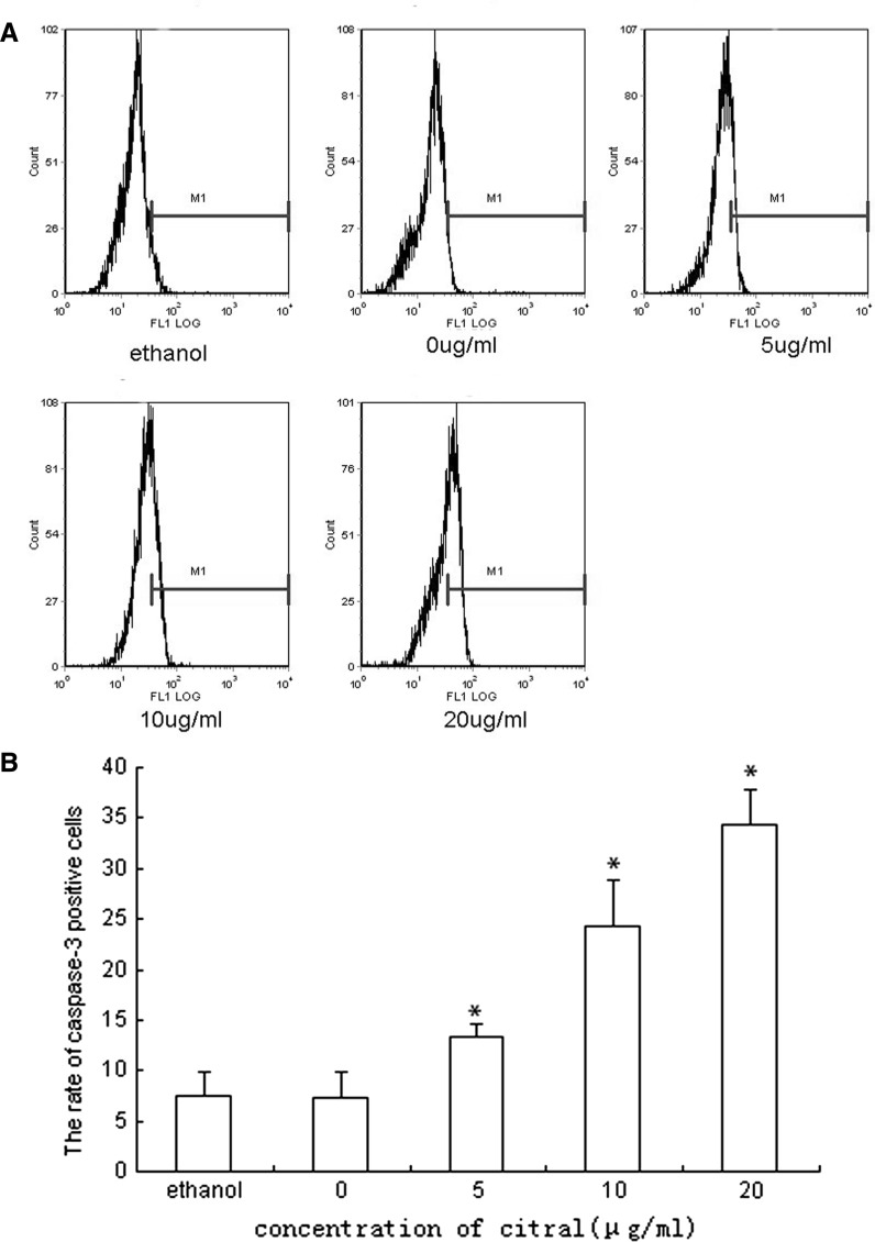 Fig. 6