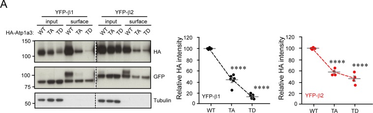 Figure S4.