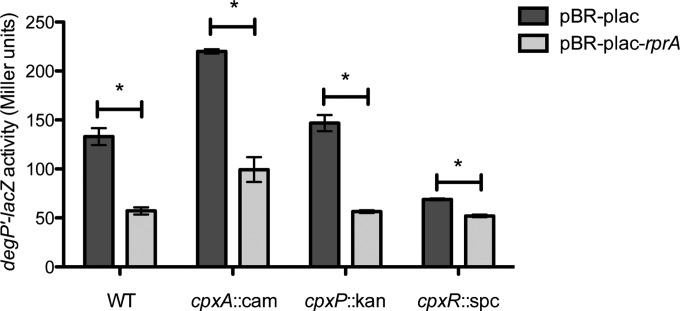 FIG 8