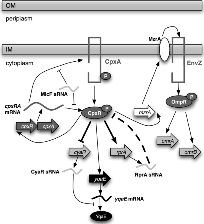 FIG 9