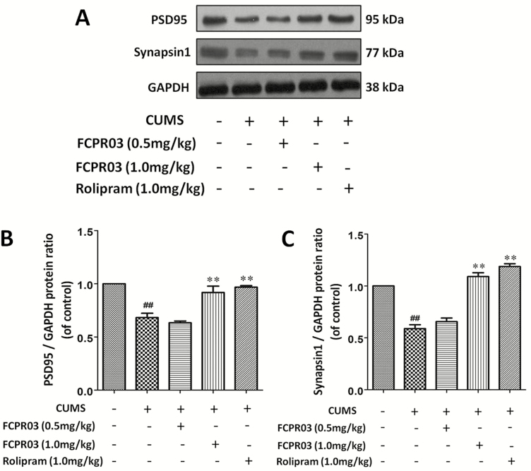 Figure 6.