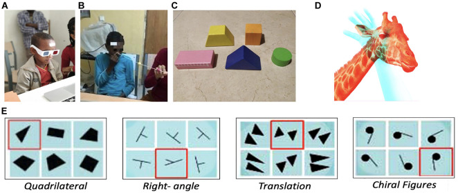 FIGURE 1