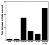 FIG. 2.