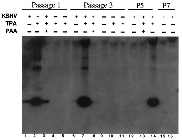 FIG. 5.