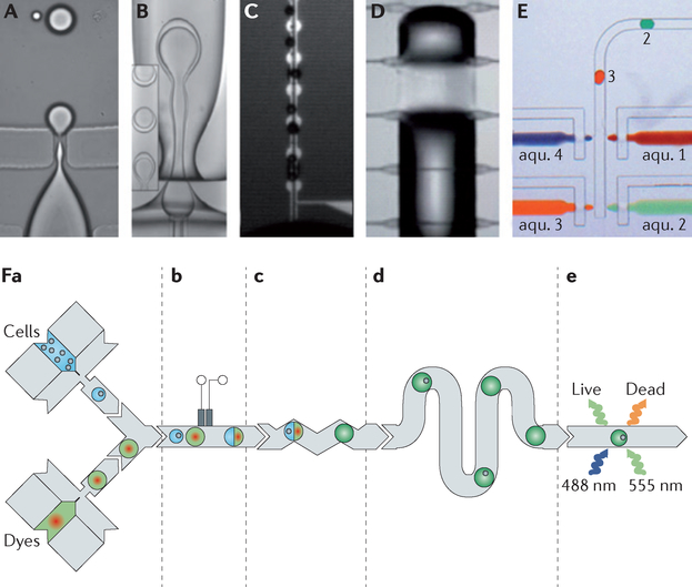 Figure 1 |