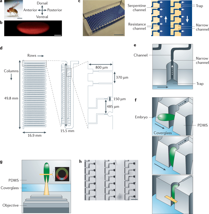 Figure 3 |