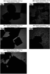 Fig. 12