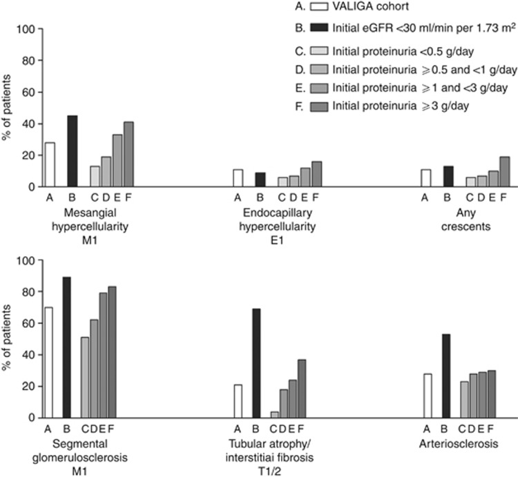 Validation of the Oxford classification of IgA nephropathy in cohorts ...