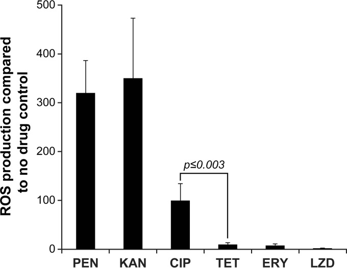 FIG 1