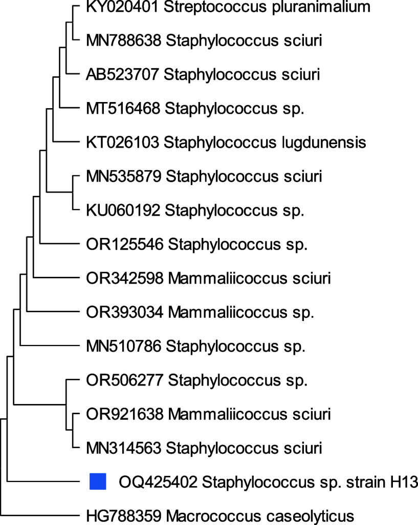 Figure 6