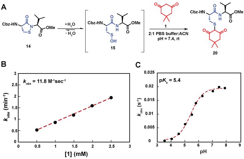 Scheme 3