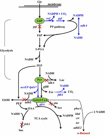 Fig. 1