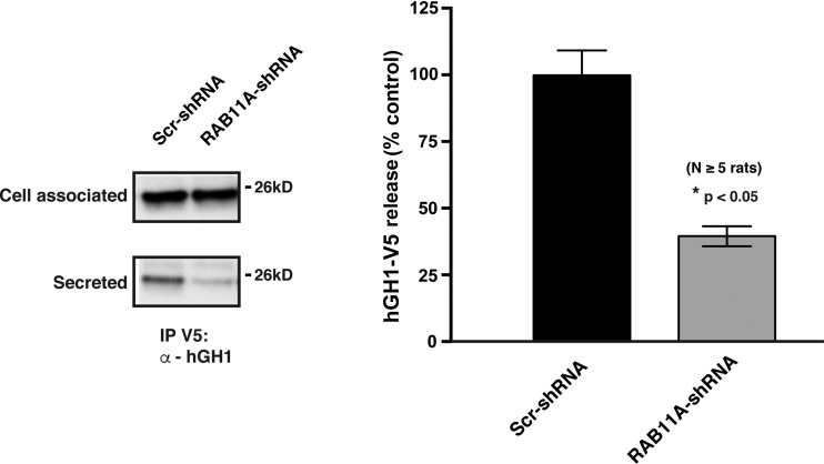 Fig. 8.