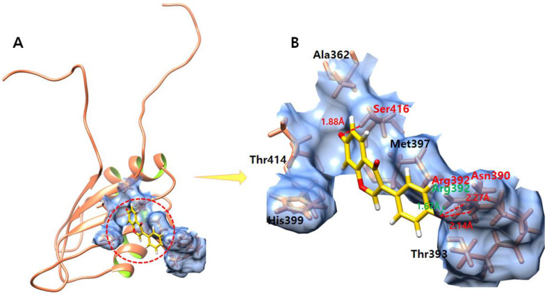 Figure 6