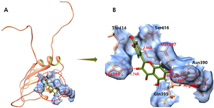 Figure 9