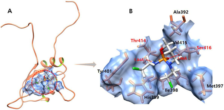 Figure 10