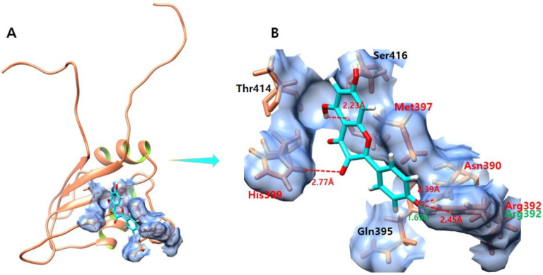 Figure 7