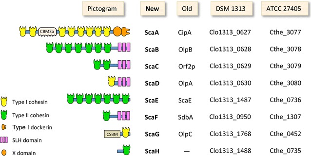 Fig. 2