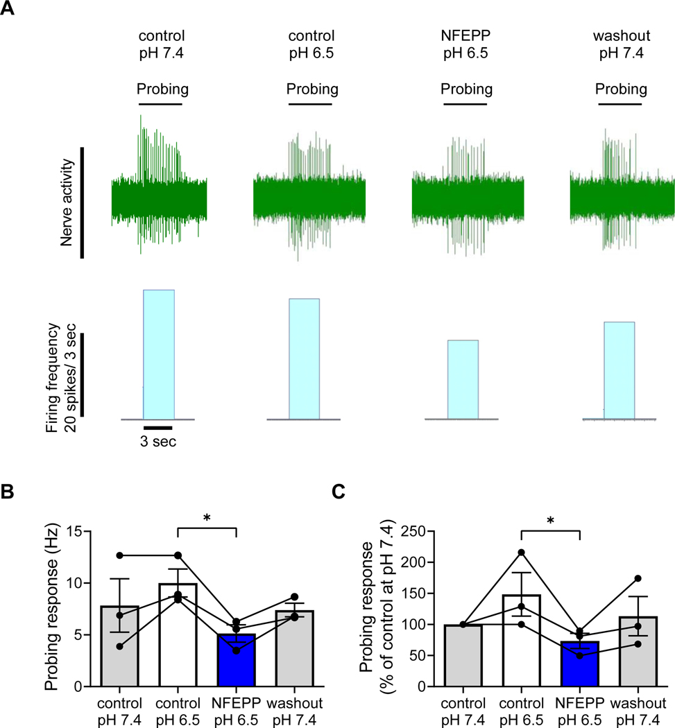 Fig. 7: