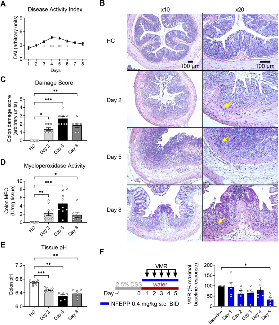 Fig. 2: