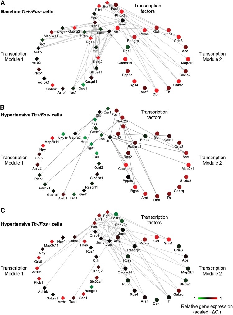 Figure 6.