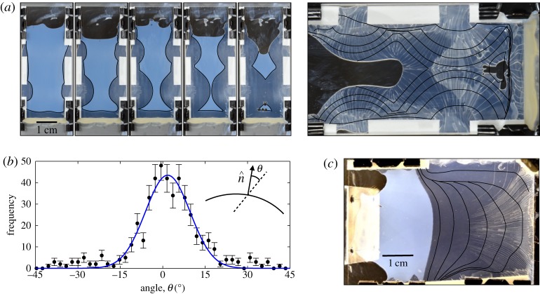 Figure 11.