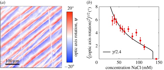 Figure 10.