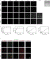 Extended Data Figure 7.