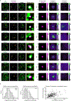 Extended Data Figure 2.