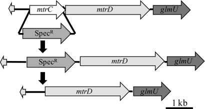 Fig. 2.