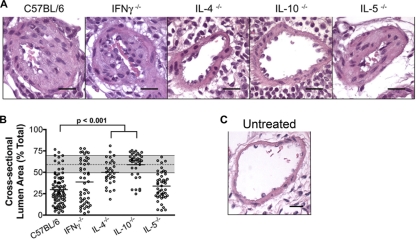 Fig 5