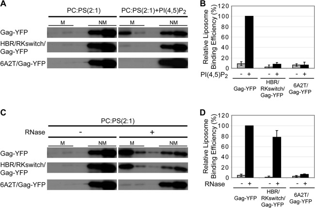 Fig 9