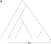 F<sc>igure</sc> 2.—