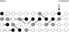 F<sc>igure</sc> 1.—