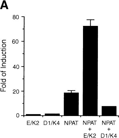 Figure 9