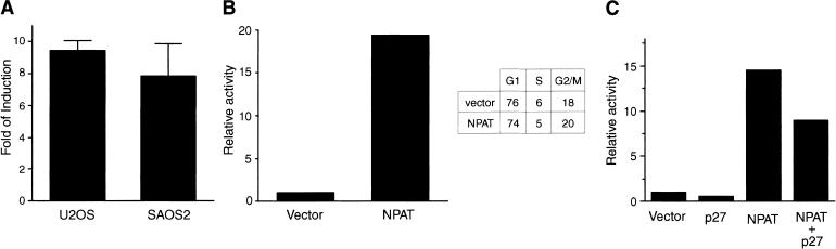 Figure 7