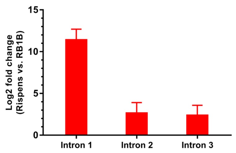 Figure 7