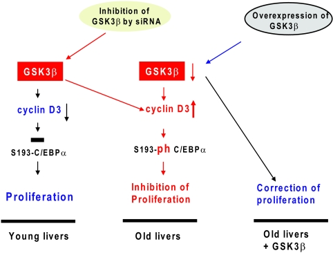 FIG. 10.